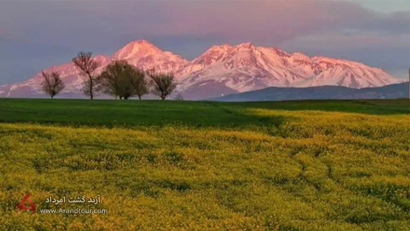 پوشش گیاهی قله سبلان