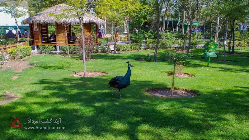 باغ پرندگان از جاهای دیدنی مشهد در تابستان