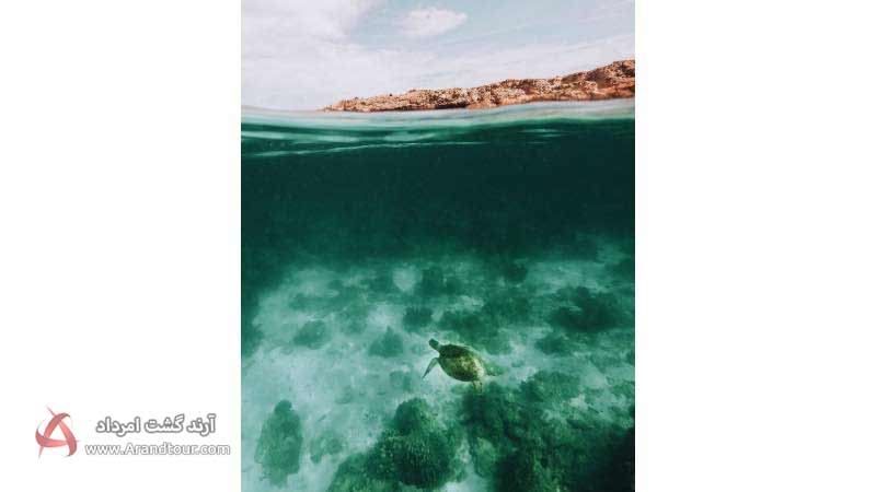 ساحل لاک‌پشت‌ها از جاهای دیدنی هرمز