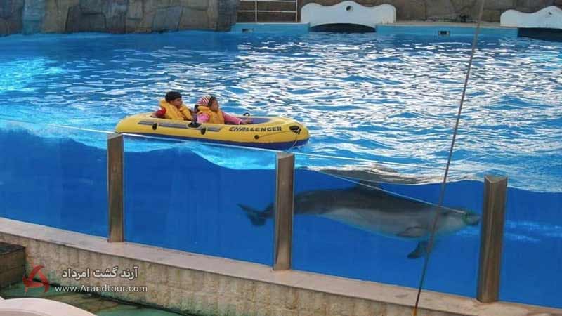 پارک دلفین از جاهای دیدنی کیش