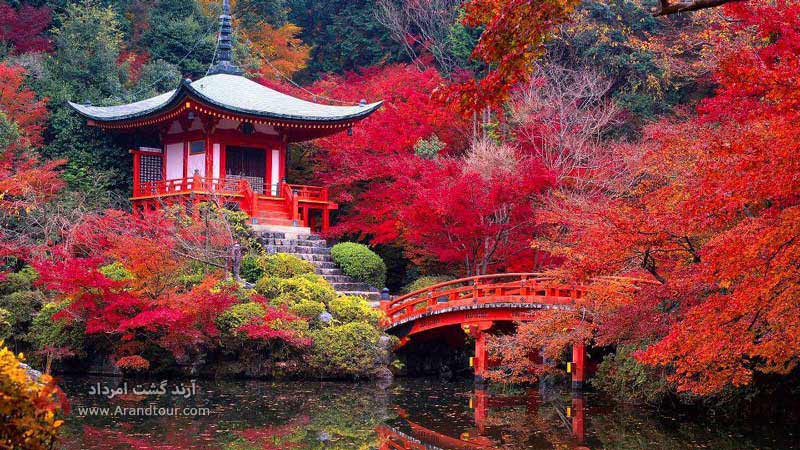 کیوتو از بهترین جاهای دیدنی ژاپن