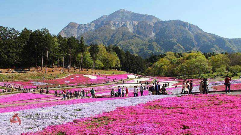 پارک هیتسوجیاما از جاهای دیدنی ژاپن