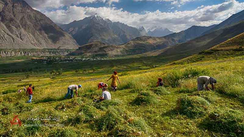 دره زرافشان از جاهای دیدنی ازبکستان