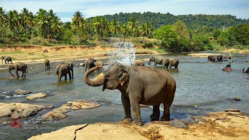 باغ‌وحش ملی سریلانکا