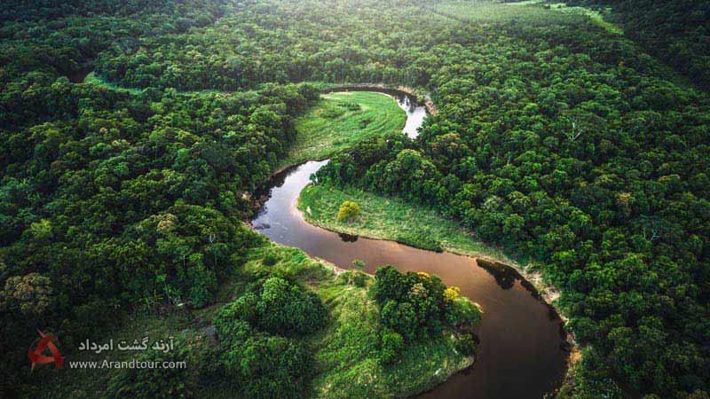 معرفی جنگل‌های آمازون