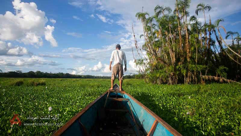 مسیرهای دسترسی به جنگل‌های آمازون