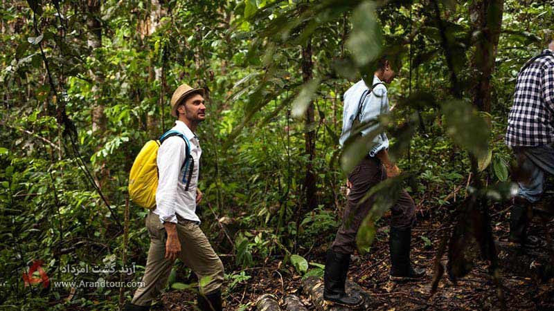 راهنمای سفر به جنگل آمازون