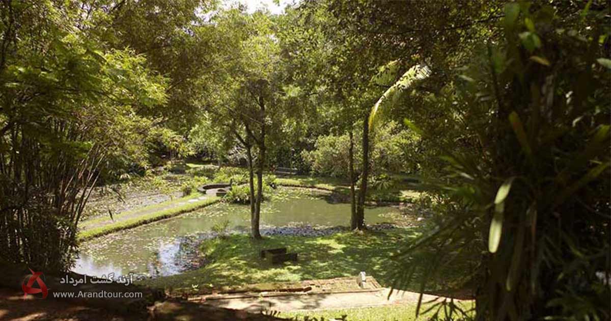 باغ لونوگانگا از جاهای دیدنی سریلانکا