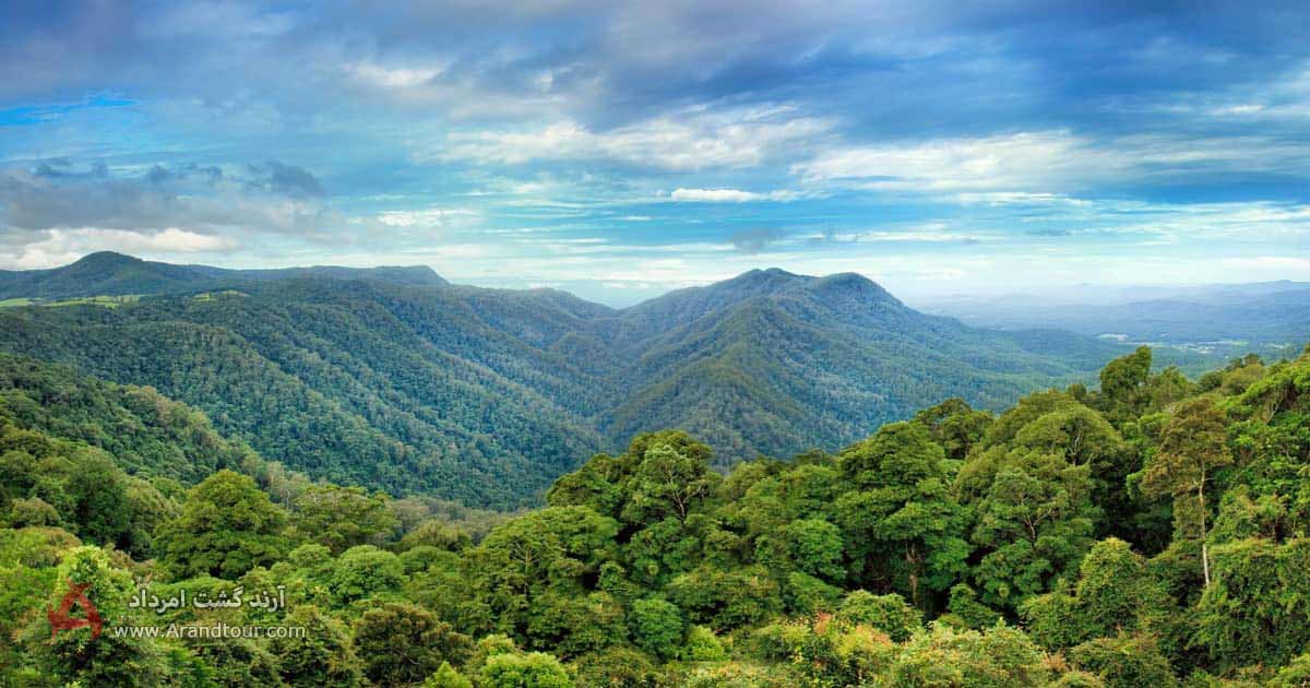 جنگل‌های استرالیا از بزرگترین جنگل‌های جهان