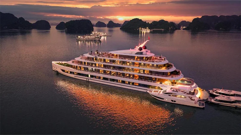 (Sea Stars Cruise Halong)