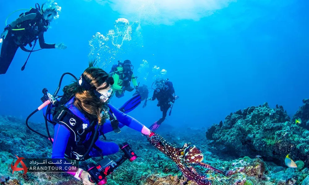 غواصی در سواحل کنیا