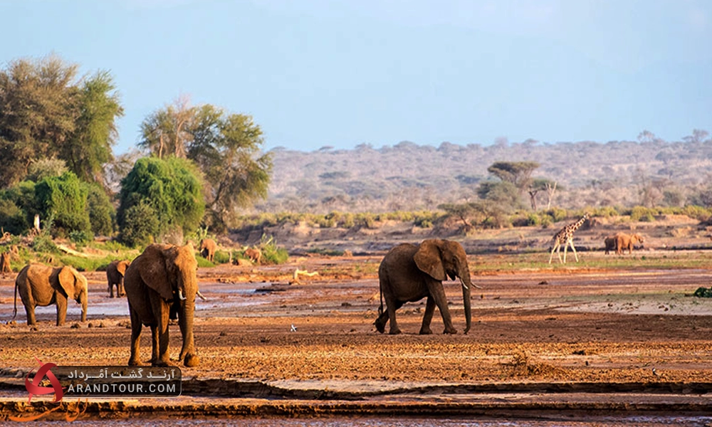 سفر به دره ریفت کنیا با آرند تور
