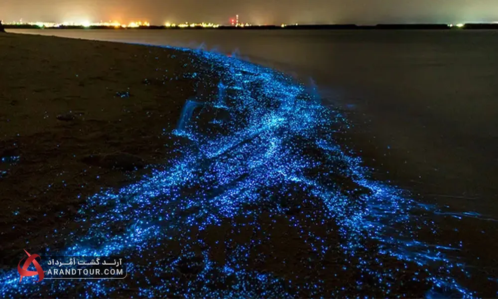 سفر به جزیره هرمز با آرند تور