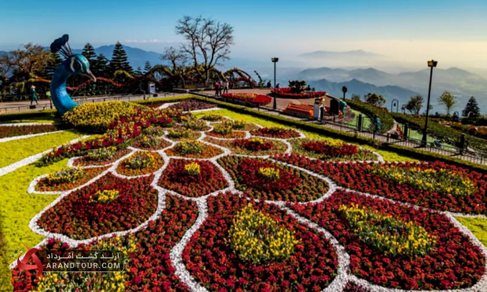 باغ گل های عشق در باناهیلز ویتنام