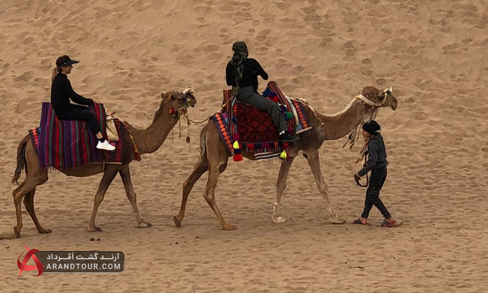 تور کویر مصر آرند تور