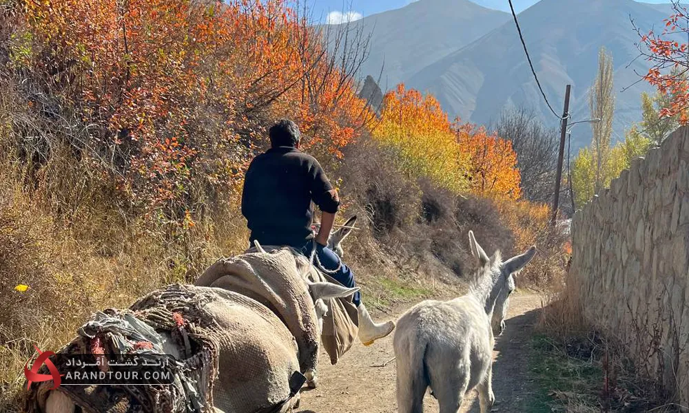 روستای ییلاقی شهرستانک استان البرز