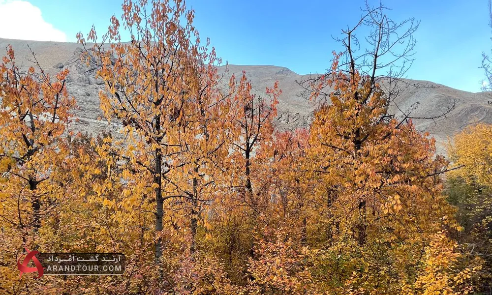 سفر یک روزه به شهرستانک با آرند تور