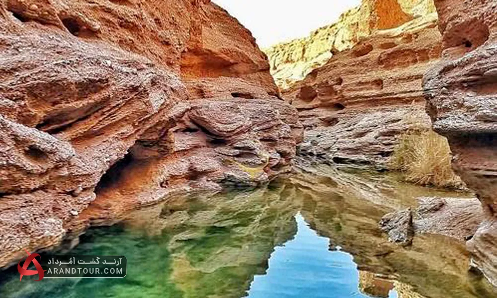 کال جنی طبس