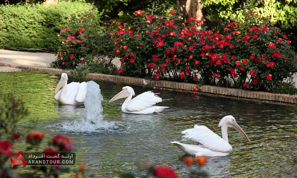 باغ گلشن طبس