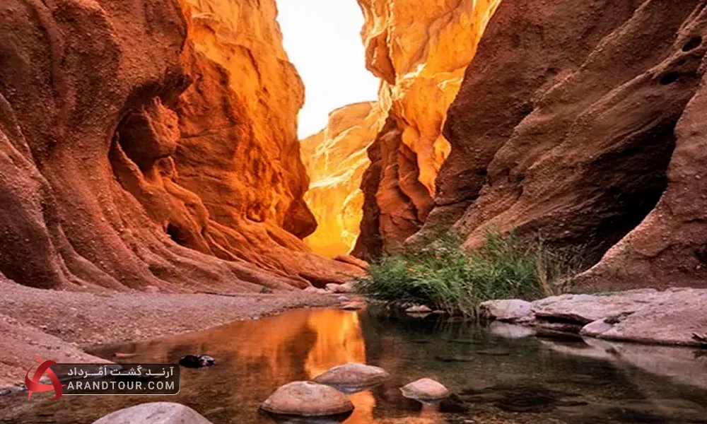 کال جنی طبس