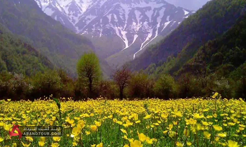 طبیعت بکر جواهردشت گیلان