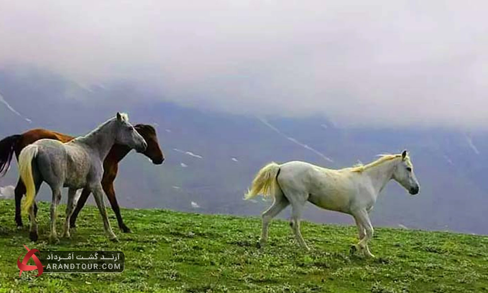 سفر به جواهردشت با آرند تور