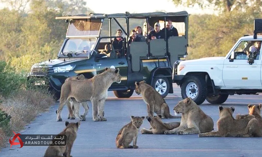 بازدید از حیات وحش آفریقا با آرند تور