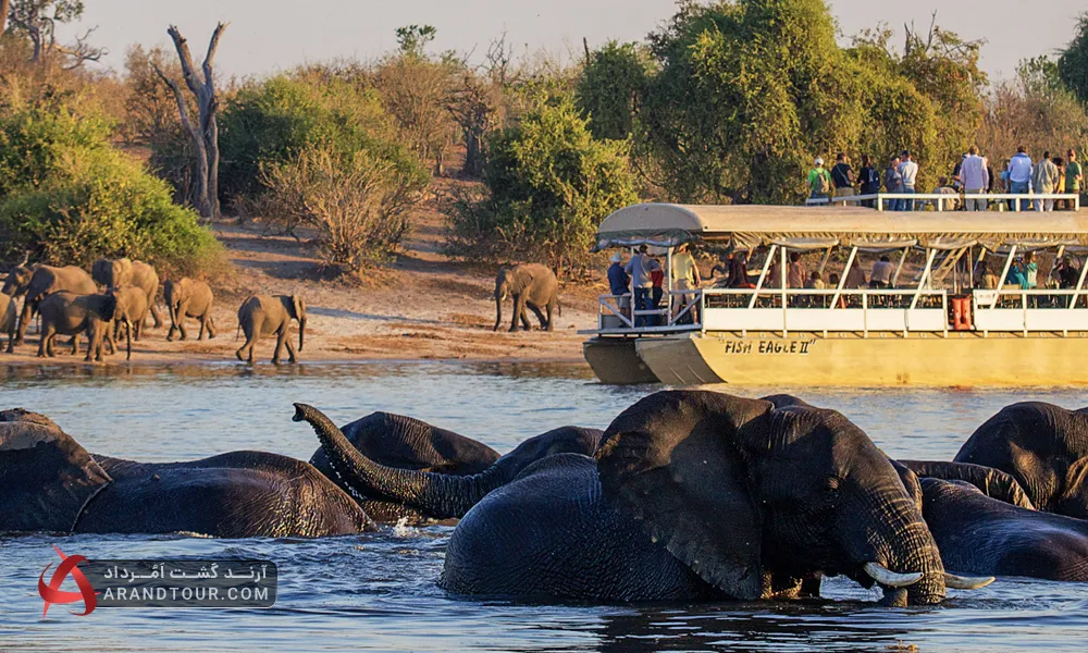 تور سافاری آرند تور