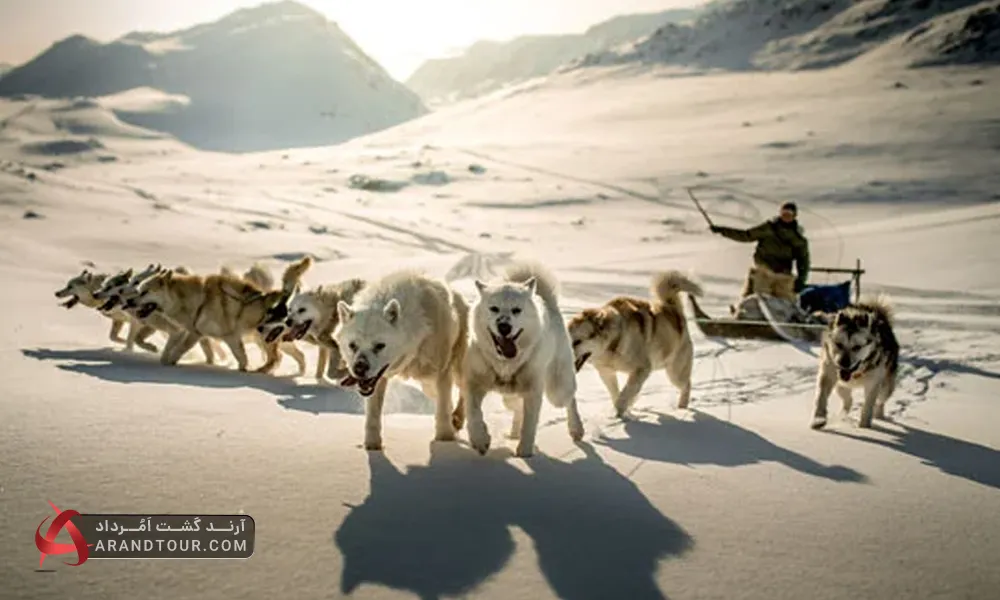 سورتمه سواری در گرینلند
