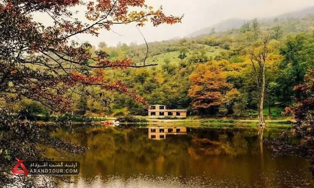 تور یک روزه جنگل راش