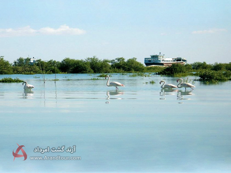 بندر کنگ تا بندر خمیر