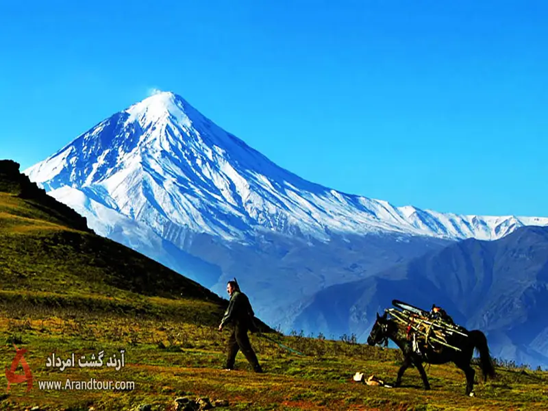 جنگل الیمستان