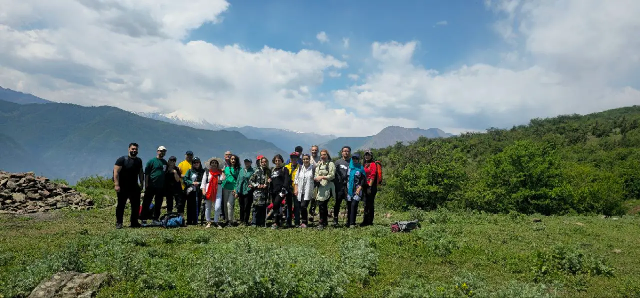 جنگل الیمستان