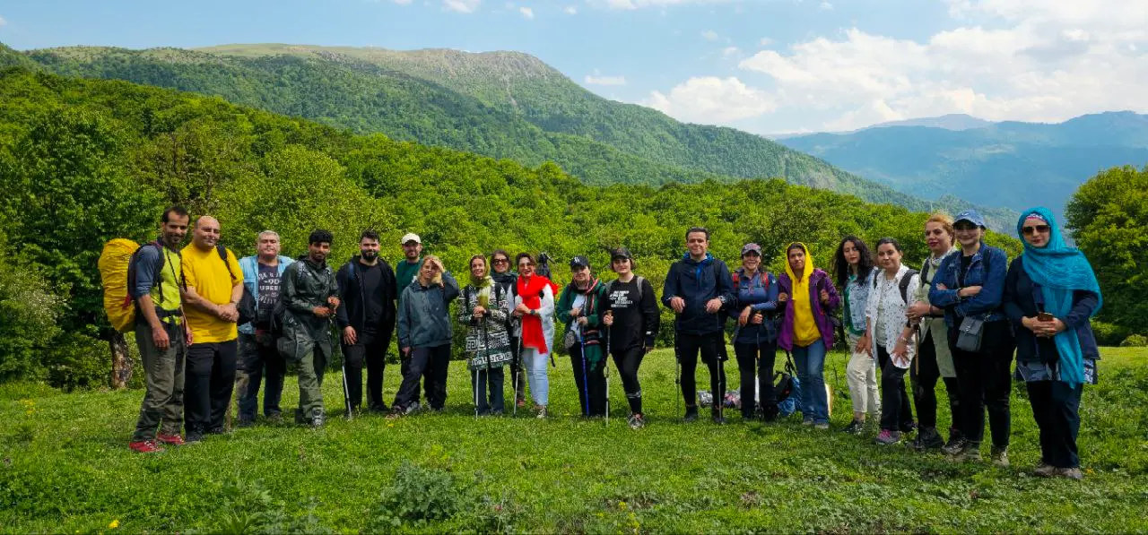 جنگل الیمستان